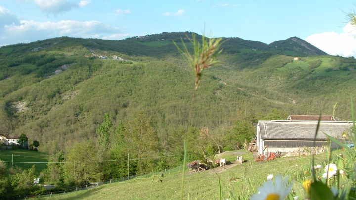 La La Fattoria Bio